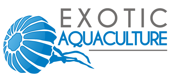 Exotic Aquaculture HK