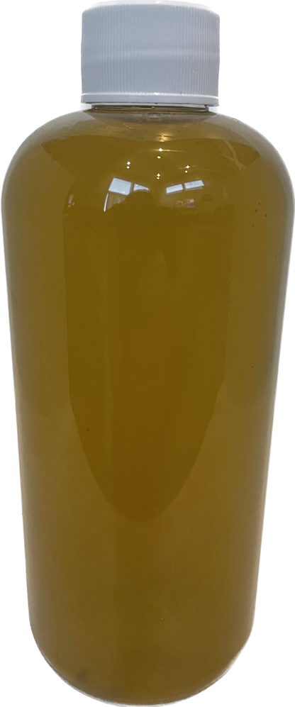 薄殼矽藻 Chaetoceros muellerii｜300ml｜活體浮游植物培養與餌料首選